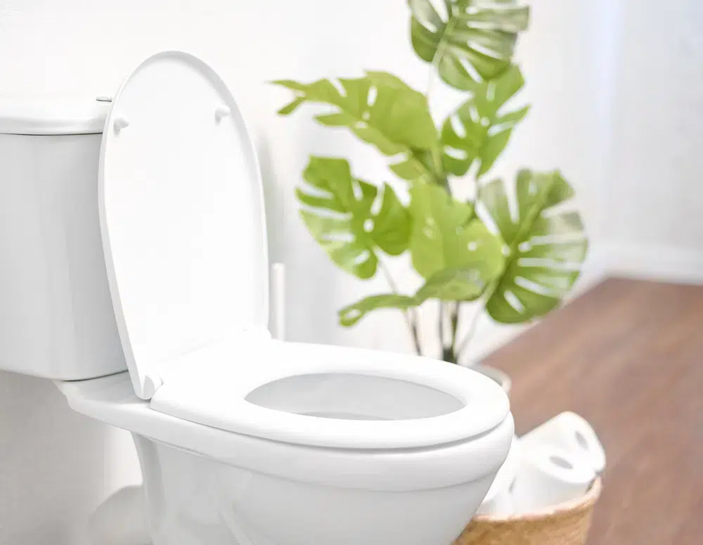 Toilet in residential bathroom